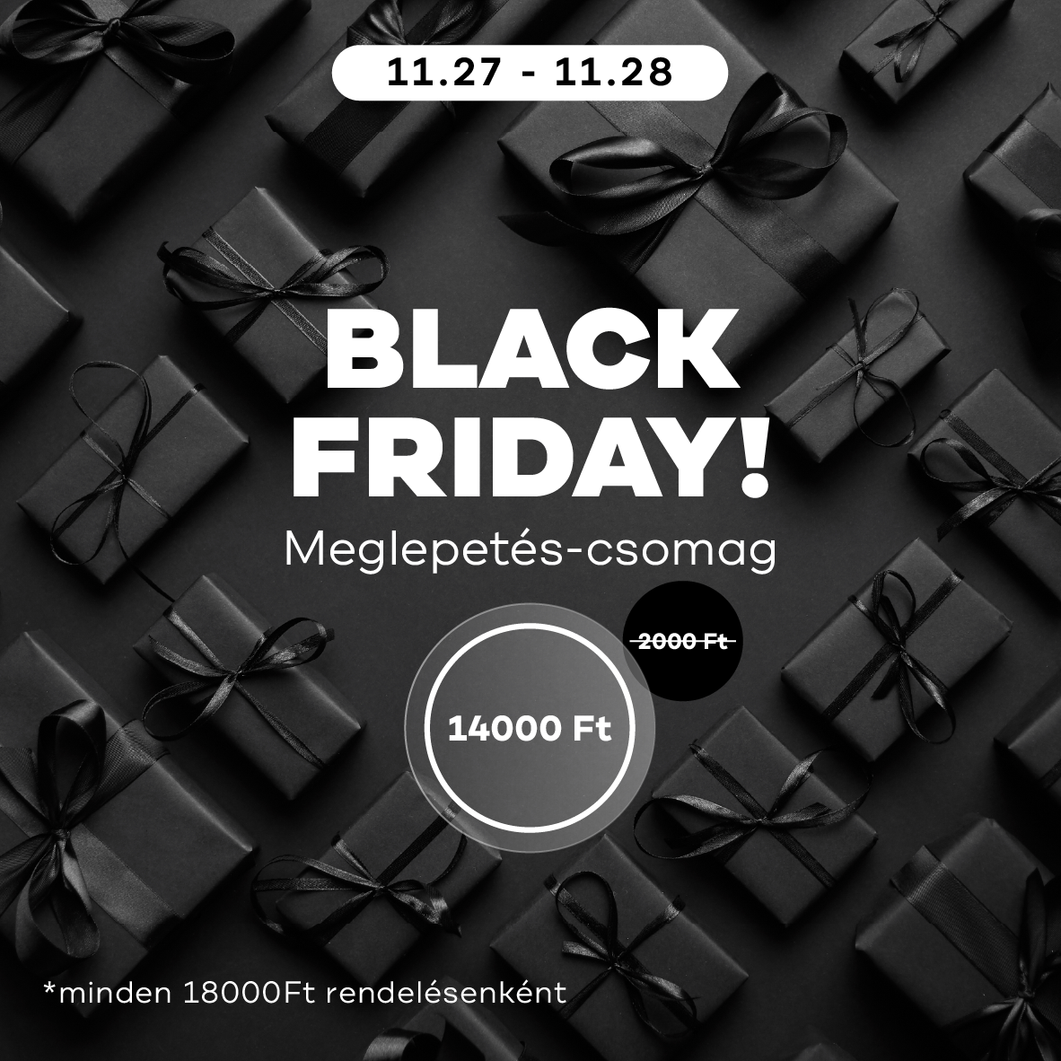 BLACK FRIDAY