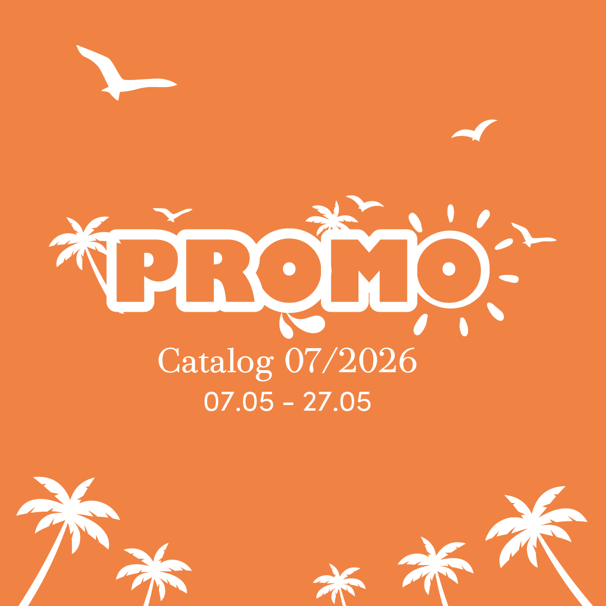 Belangrijkste PROMO van de catalogus